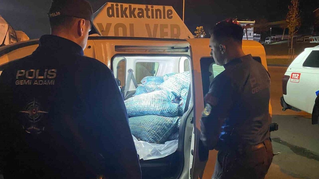 Samsun'da yaklaşık 300 kilogram kaçak kara kıllı midye ele geçirildi