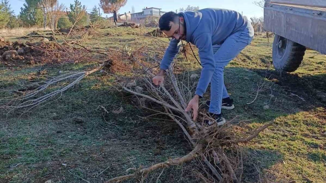 Sandıklılı Yarenler 100’e Yakın Badem Fidanı Dikti