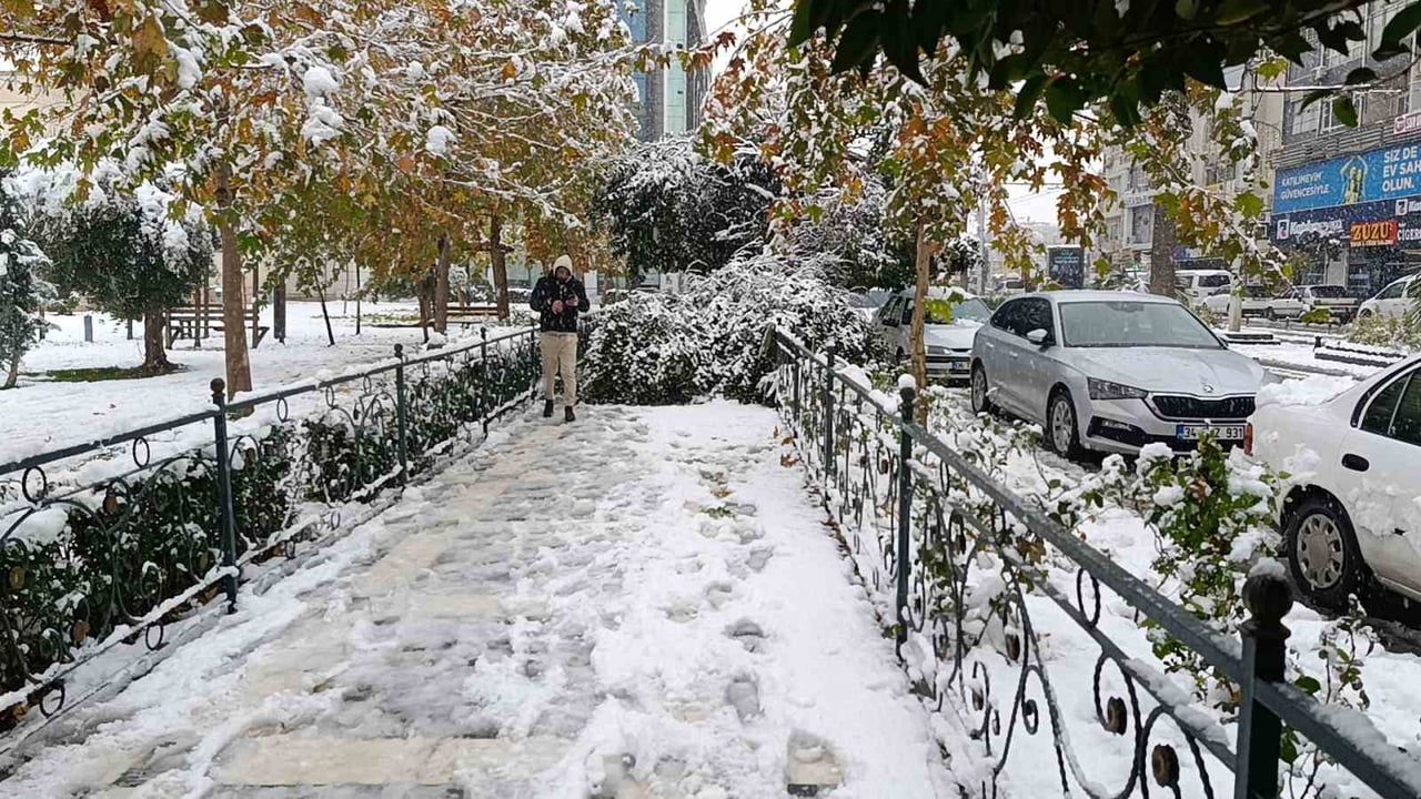 Şanlıurfa'da kar hayatı olumsuz etkiledi: Ağaç devrildi, araçlar yolda kaldı
