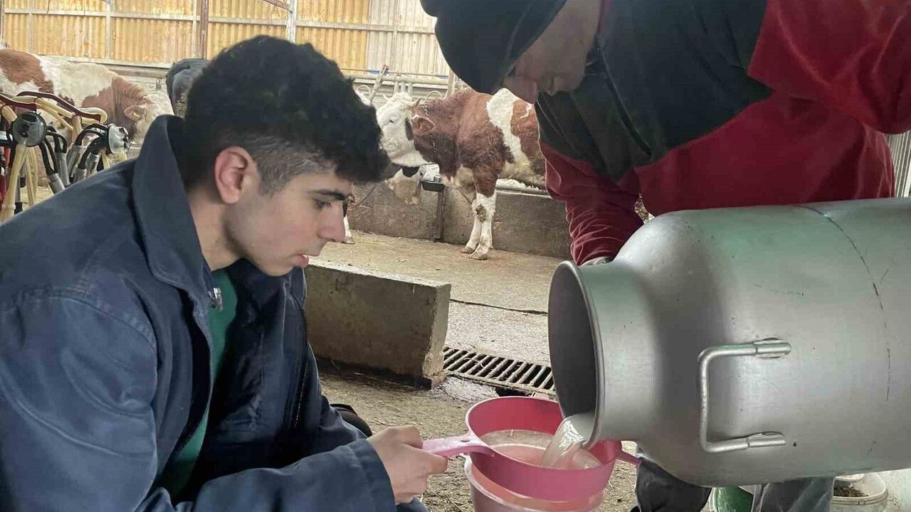 Şap salgını mağduriyeti: Üreticiler çiğ süt fiyatının güncellenmesini istiyor