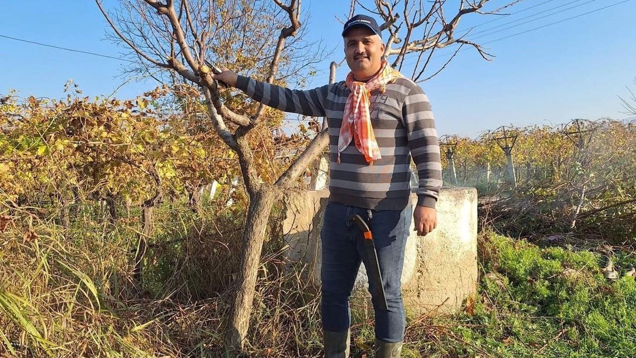 Sarıgöl'de Çiftçinin Kış Mesaisi Bağlarda Devam Ediyor