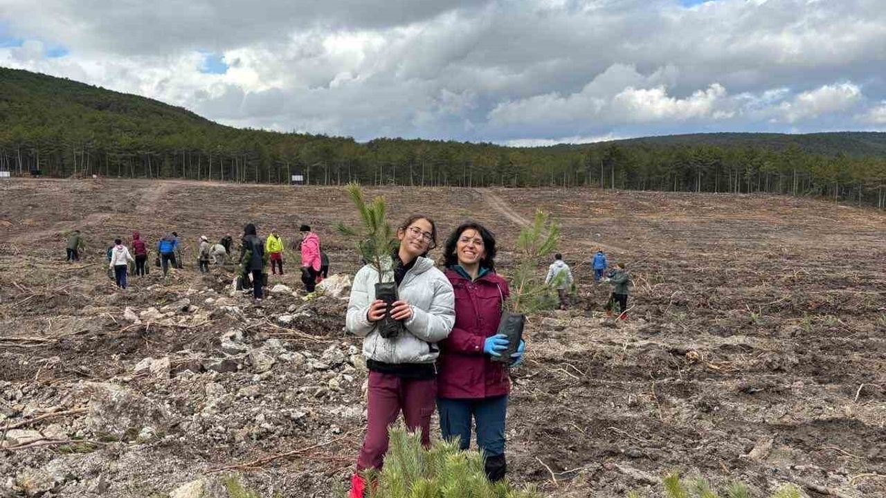Seyitgazi'de yangın bölgesine 450 fidan dikildi