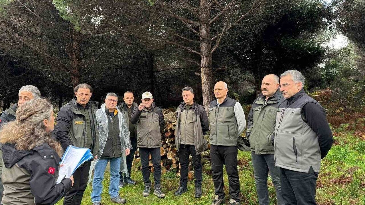 Sinop’ta ormancılık çalışmaları değerlendirildi ve saha incelemeleri yapıldı