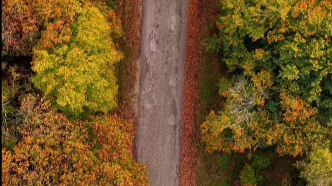 Sinop'ta Sonbaharın Renkleri