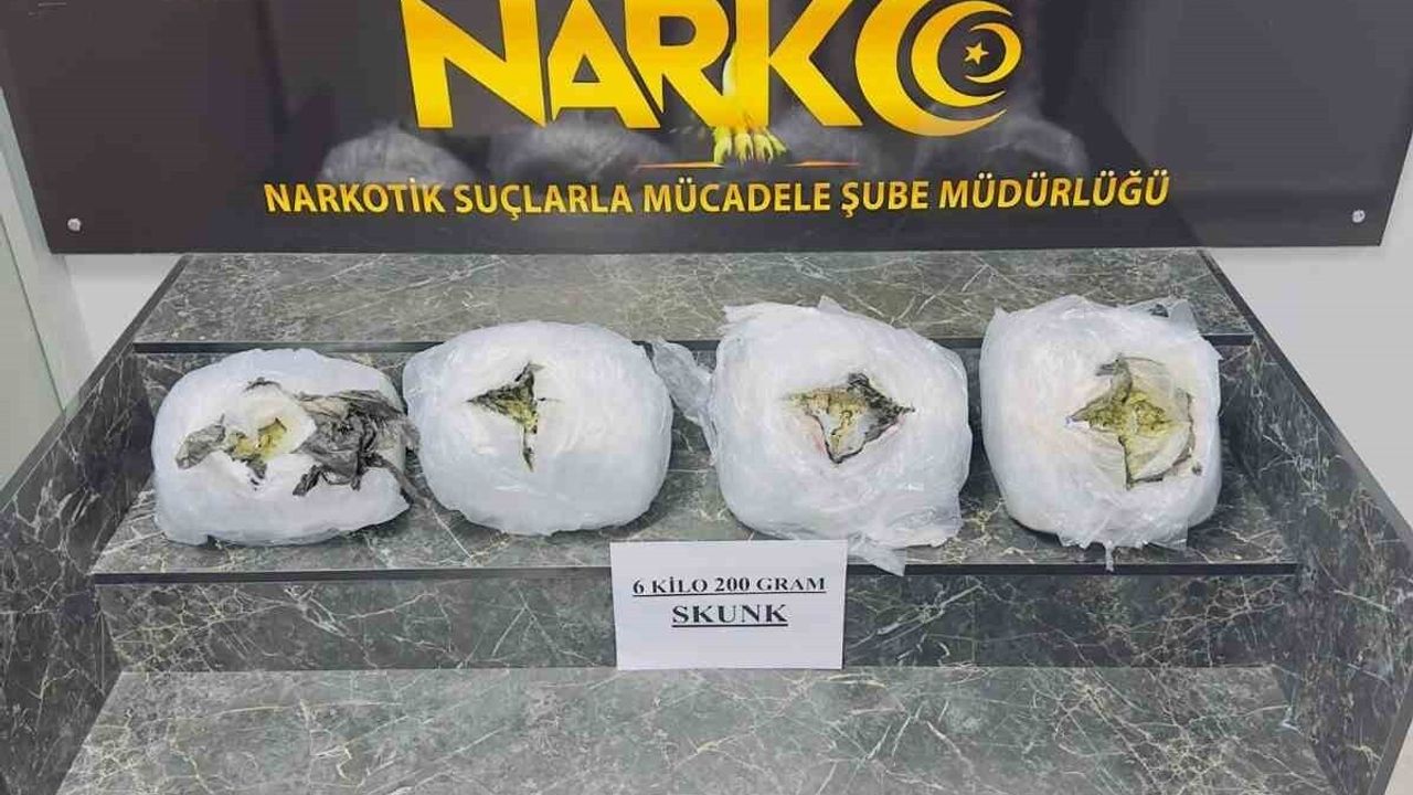 Şırnak'ta 6 kilo 200 gram skunk ele geçirildi