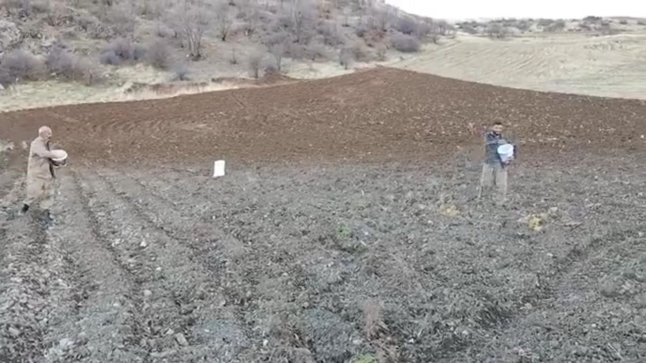 Şırnak’ta çiftçiler kar düşmeden arpa ekiyor