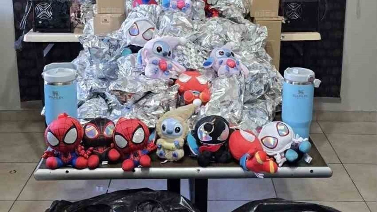 Şırnak’ta jandarma 10 milyon 887 bin 350 lira değerinde kaçak malzeme ele geçirdi