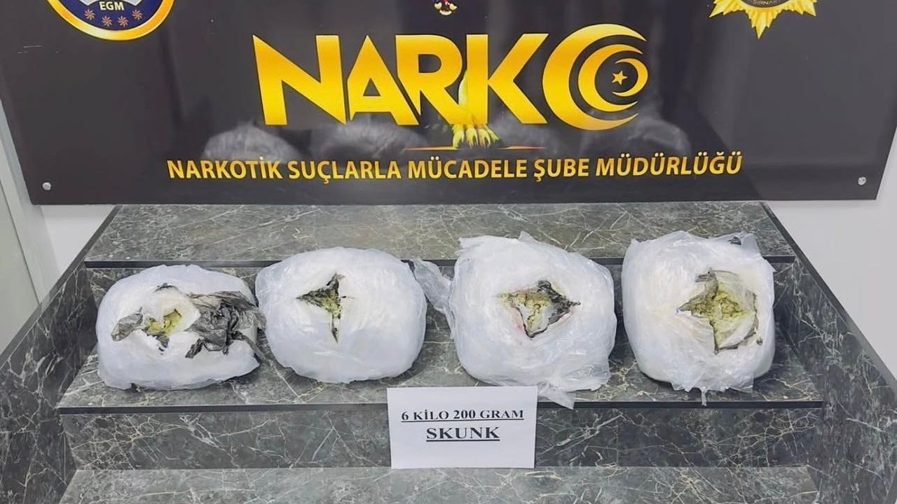 Şırnak'ta narkotik ve kaçakçılık operasyonunda 4 tutuklama