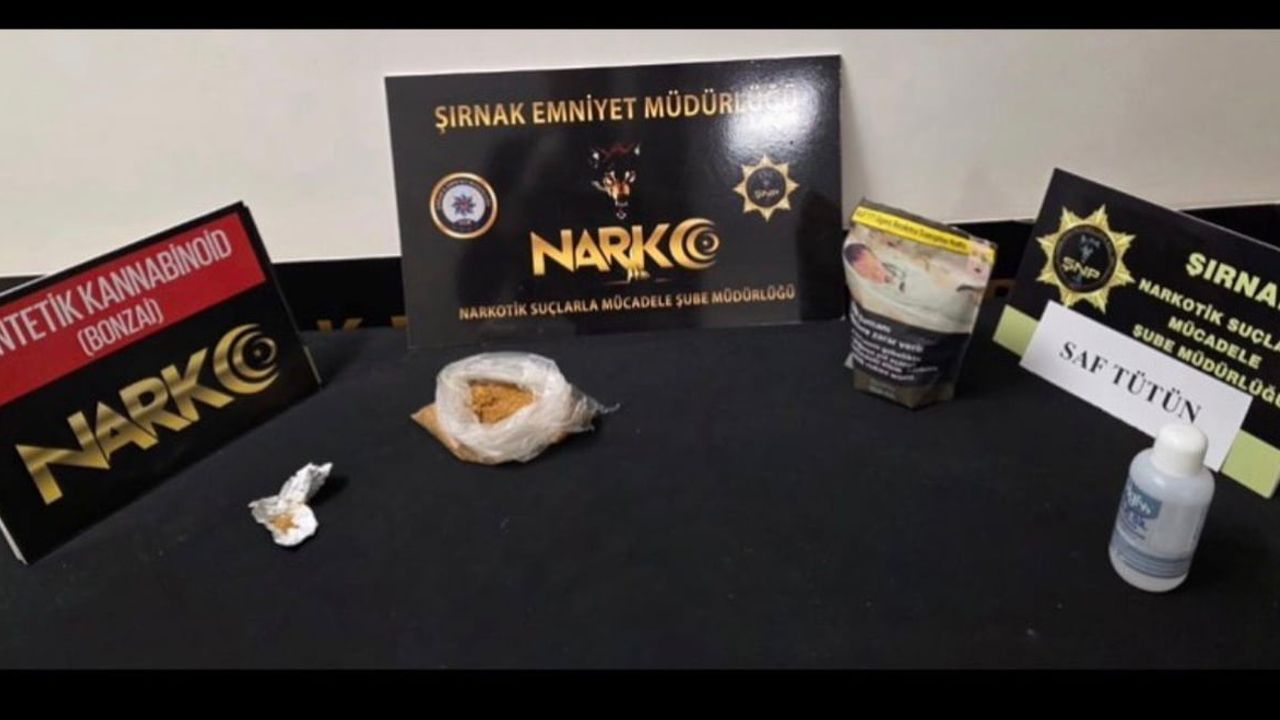 Şırnak'ta narkotik ve kaçakçılık operasyonunda 46 gözaltı, 1 tutuklama