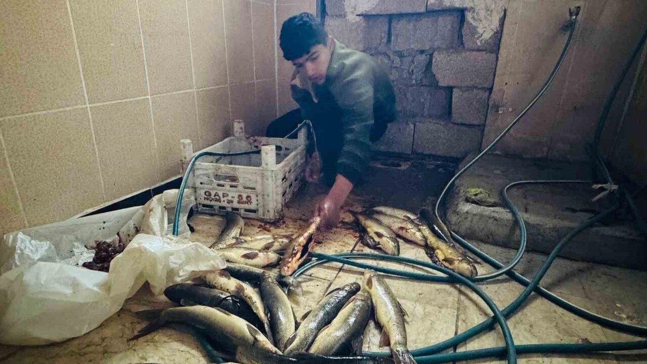 Şırnak'ta sınır boyu dereden balıkçılık Haburiki köyünde geçim