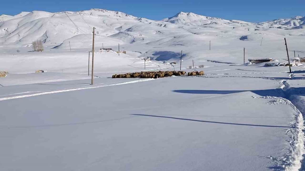 Şırnak’ta Yacan Ailesi Koyunları İçin Faraşin Yaylasında 5 Ay Kaldı