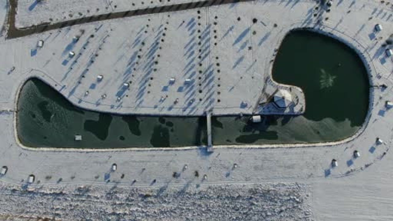 Sivas’ta soğuk hava etkisi: Üniversite göleti kısmen dondu, ördekler donmayan kısımda yüzdü