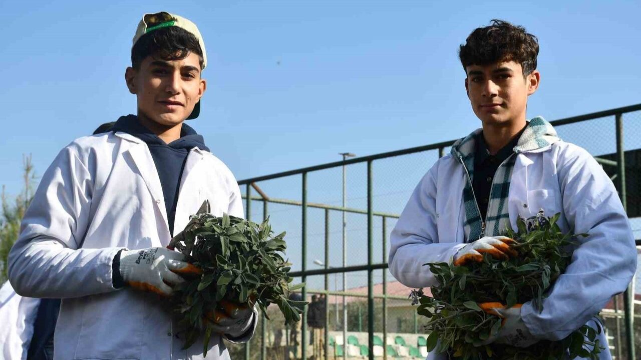 Siverek’te Lise Öğrencileri ’Tohumdan Sofraya’ Aromatik Bitki Eğitimi