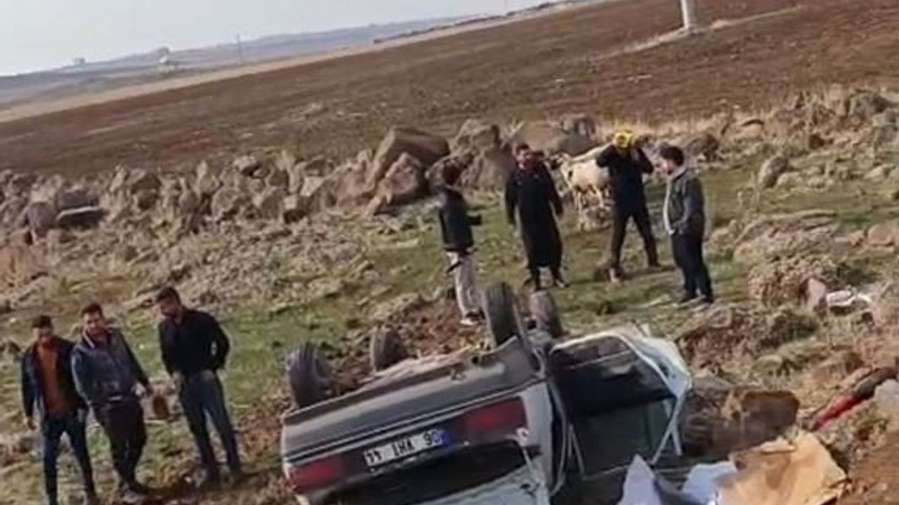 Siverek'te otomobil köprüden düştü: Sürücü yaralandı ve kurtarıldı