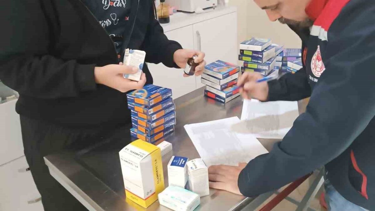 Söke'de özel veteriner kliniklerine kapsamlı denetim