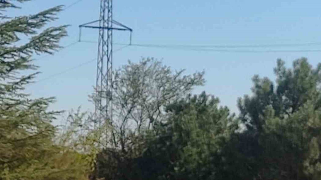 Spil Dağı'nda Kızıl Geyikler Aylar Sonra Yeniden Görüntülendi