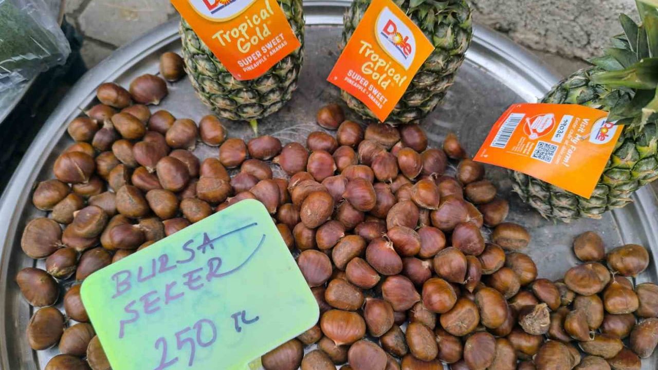 Şuhut'ta kestane talebi arttı: kilogram 200-250 lira