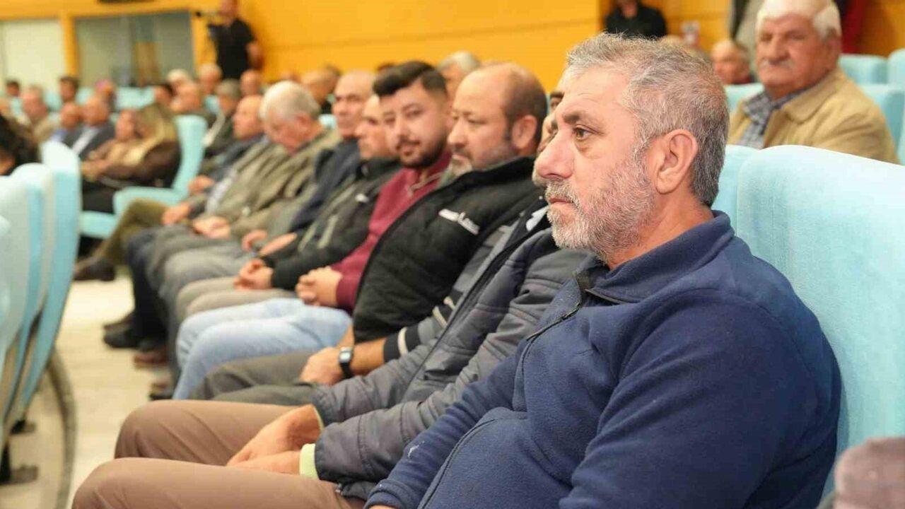 Tarsus’ta Sarıulak zeytini üreticilerine eğitim verildi