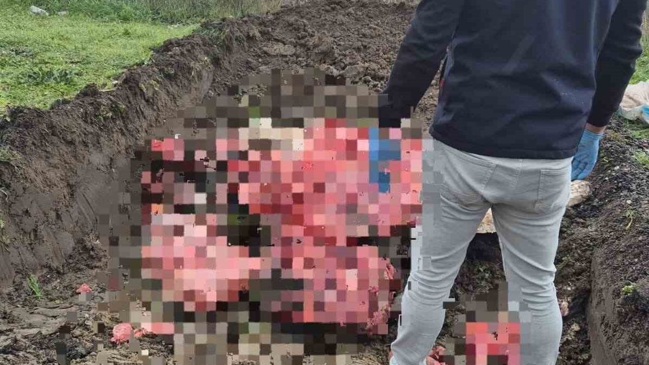 Tekirdağ Ergene'de 1 ton menşei belirsiz hayvansal ürün imha edildi