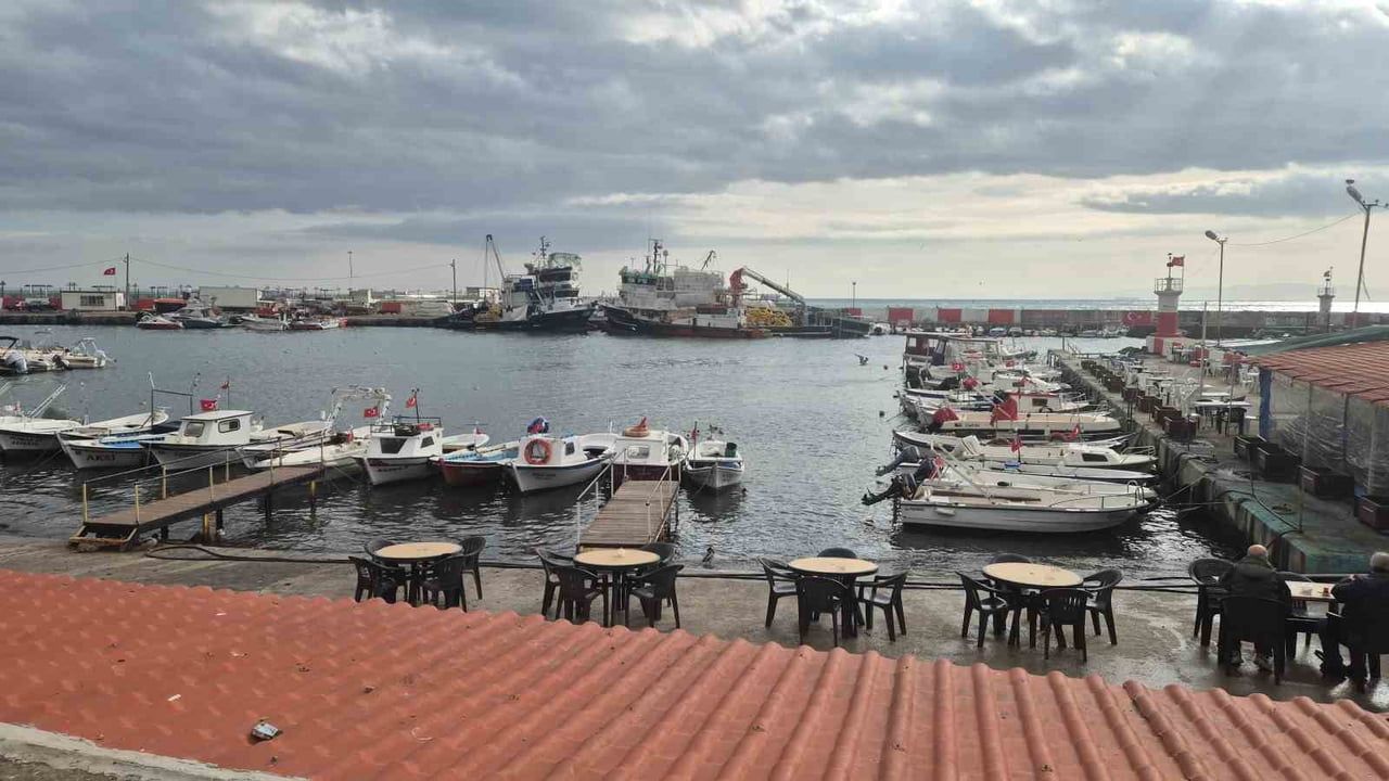 Tekirdağ kıyılarını lodos vurdu: Kızıl yosun sahili kapladı