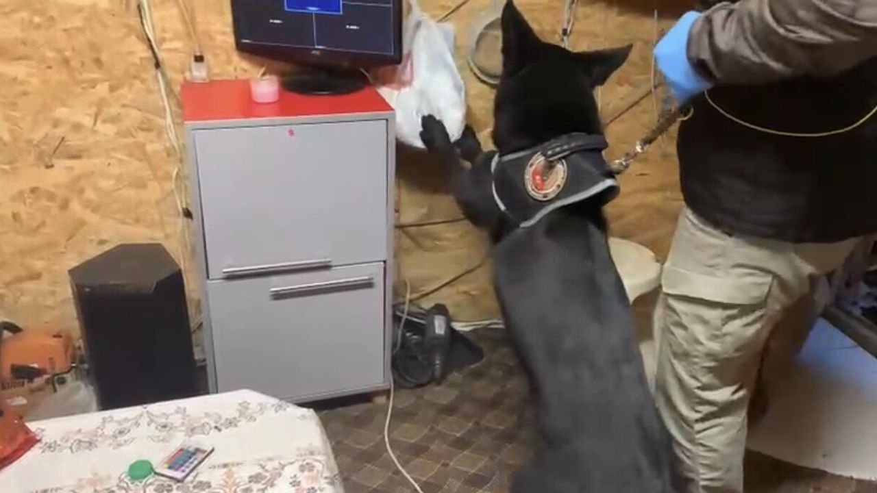 Tony'nin Tepkisi Bağ Evindeki Uyuşturucu Düzenini Ortaya Çıkardı