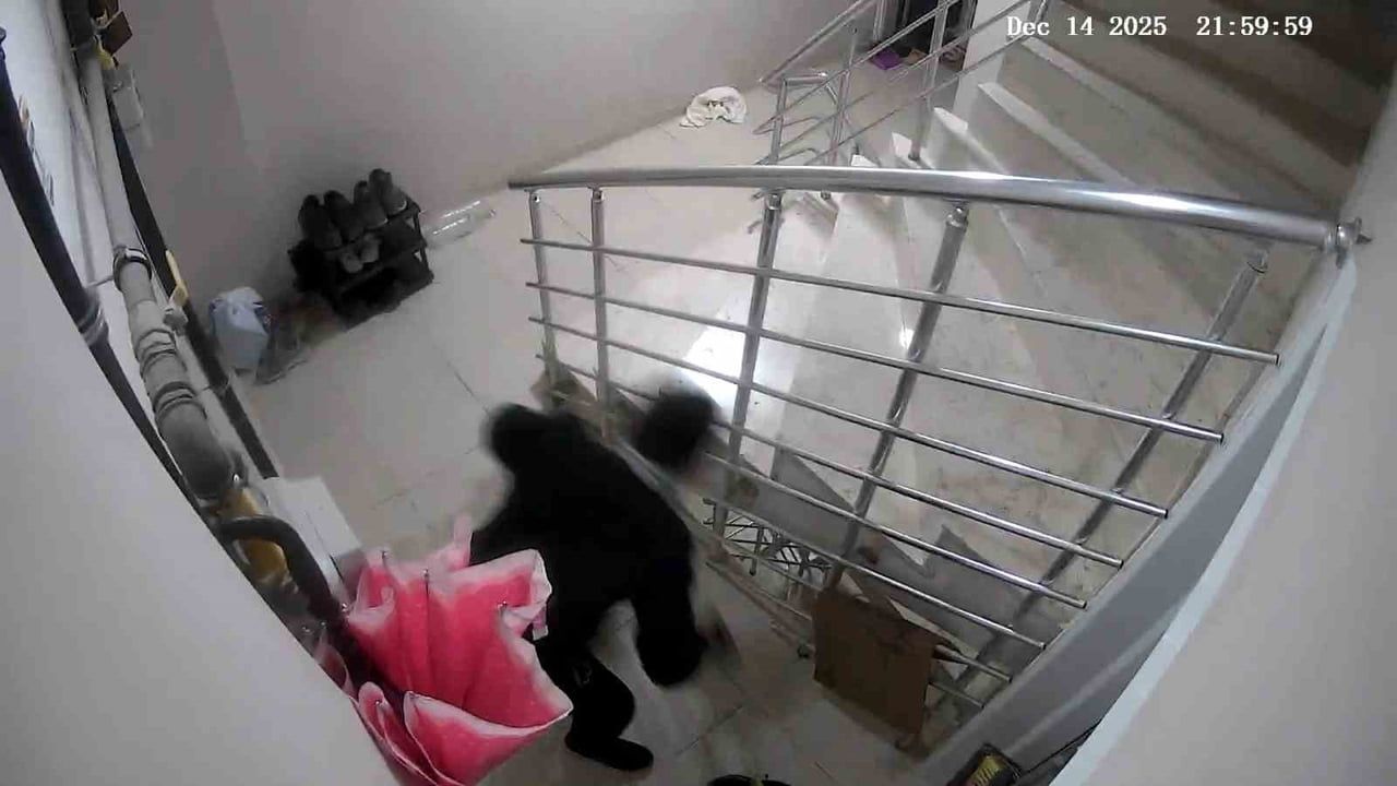 Turgutlu'da apartman önündeki ayakkabılar çalındı, hırsız kamerada