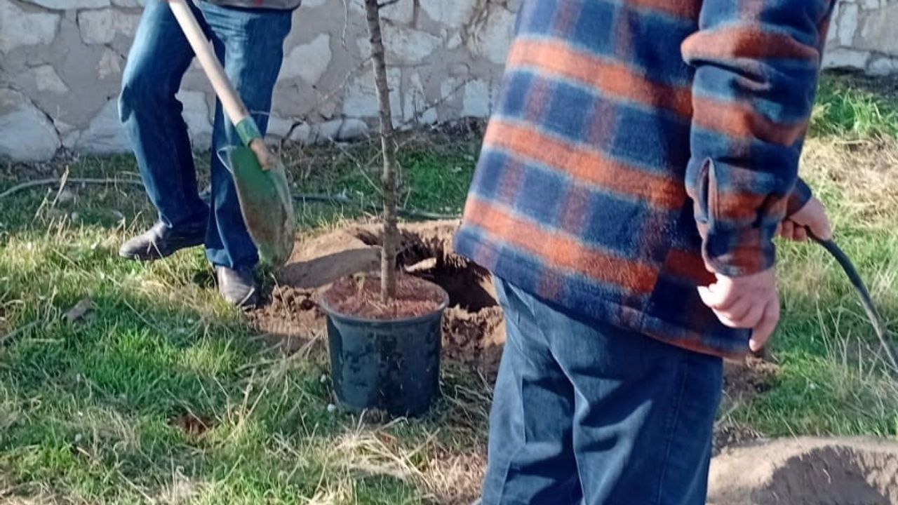 Umraniye Köyünde 300 Fidan Okul ve Cami Bahçelerine Dikildi