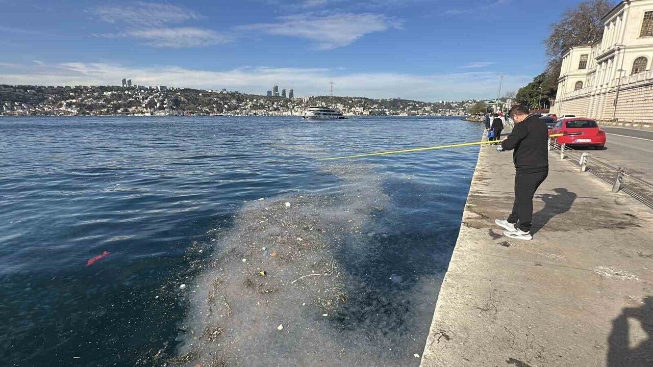 Üsküdar Kuleli sahilinde binlerce denizanası kıyıya vurdu