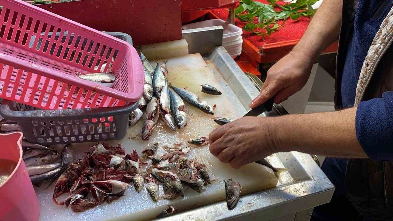 Uzman: Balığın tazeliğini gözüyle anlamak yanlış