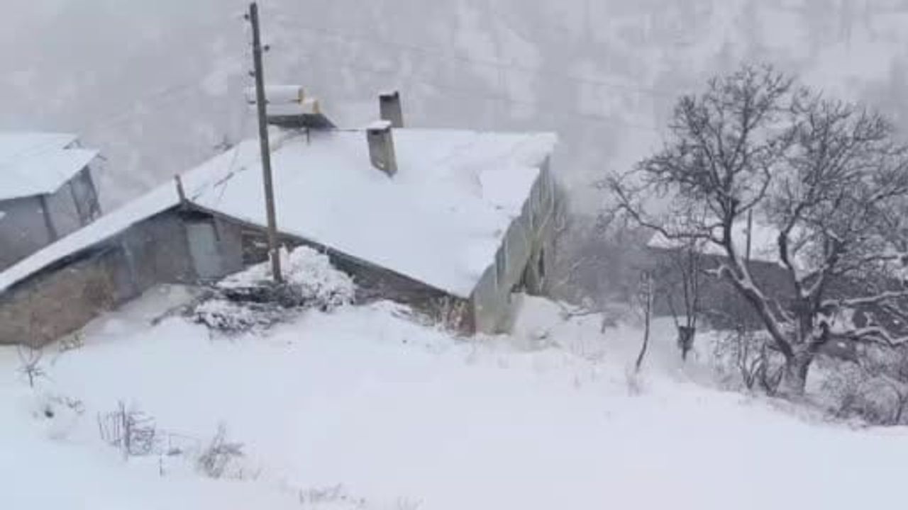 Van'da 206 yerleşim yerinin yolu ulaşıma kapandı