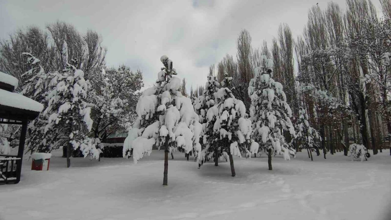 Van’da kartpostallık kar manzaraları