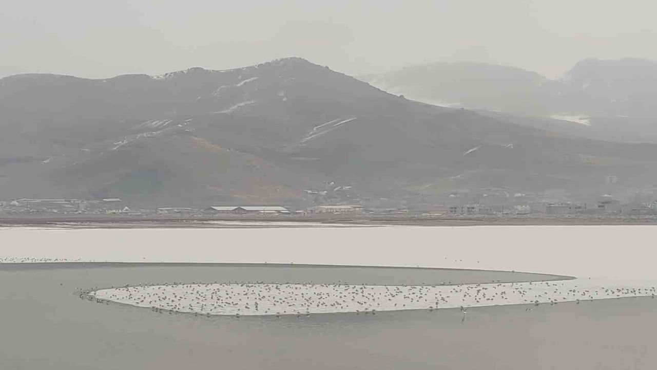 Van'da Sıhke Göleti yüzeyi buzla kaplandı