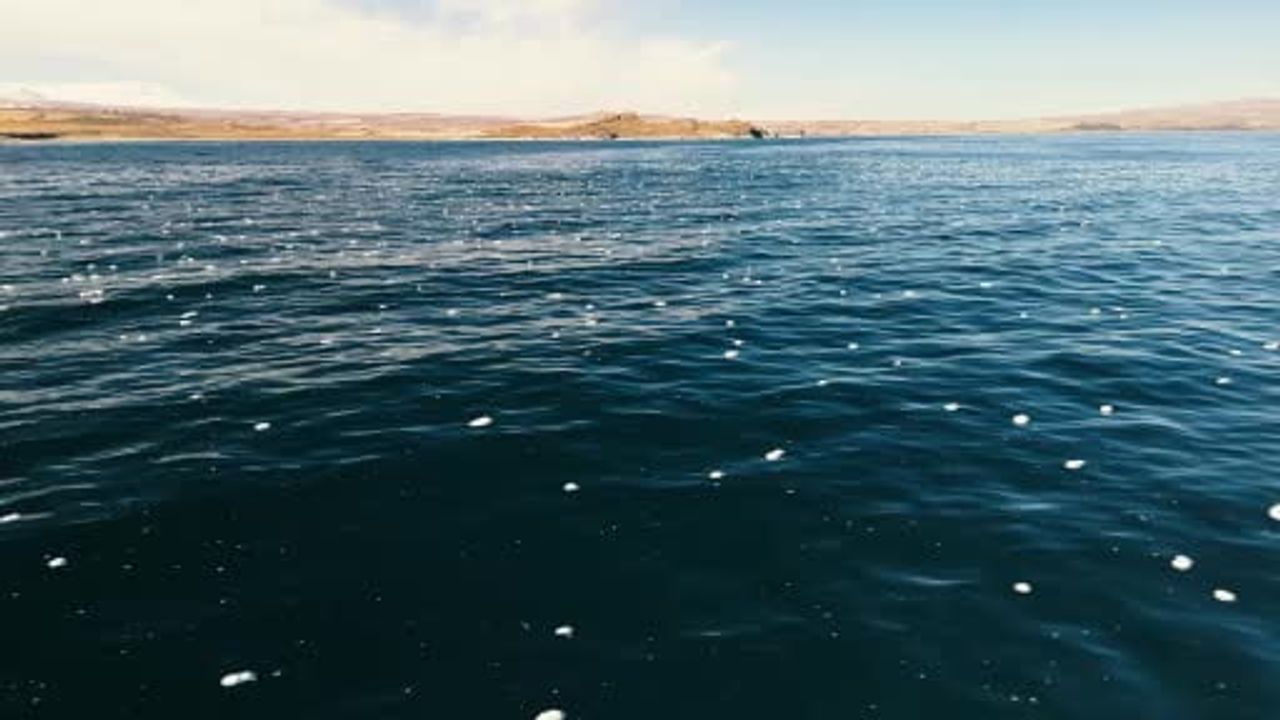Van Gölü yüzeyinde kıyıya yakın köpüklenme Tatvan açıklarında görüntülendi