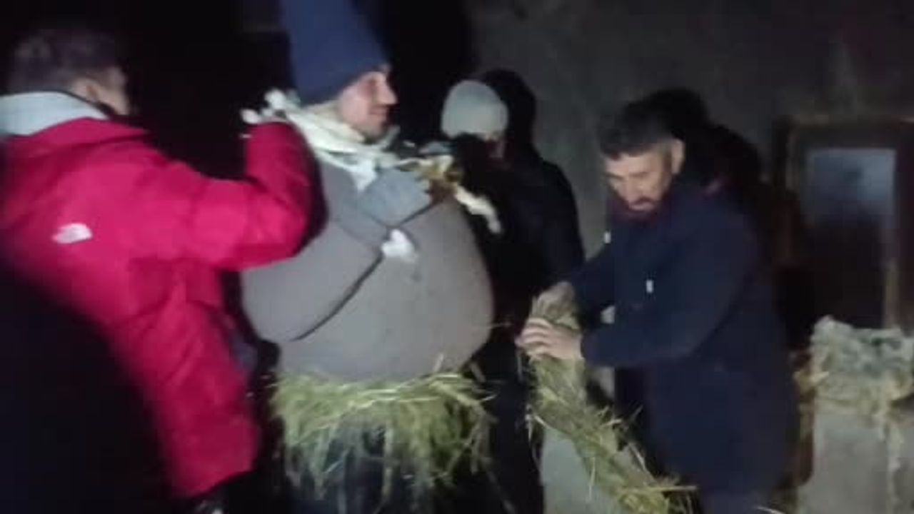 Van Saray Kekikdüzü'nde 'köse-gelin' geleneği sürdürülüyor