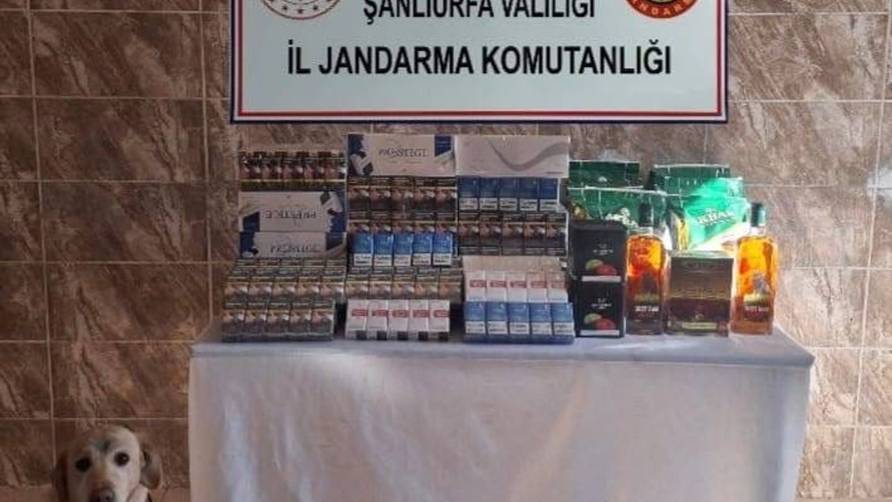 Viranşehir'de jandarmadan kaçakçılık operasyonu: 6 bin 820 paket sigara ele geçirildi