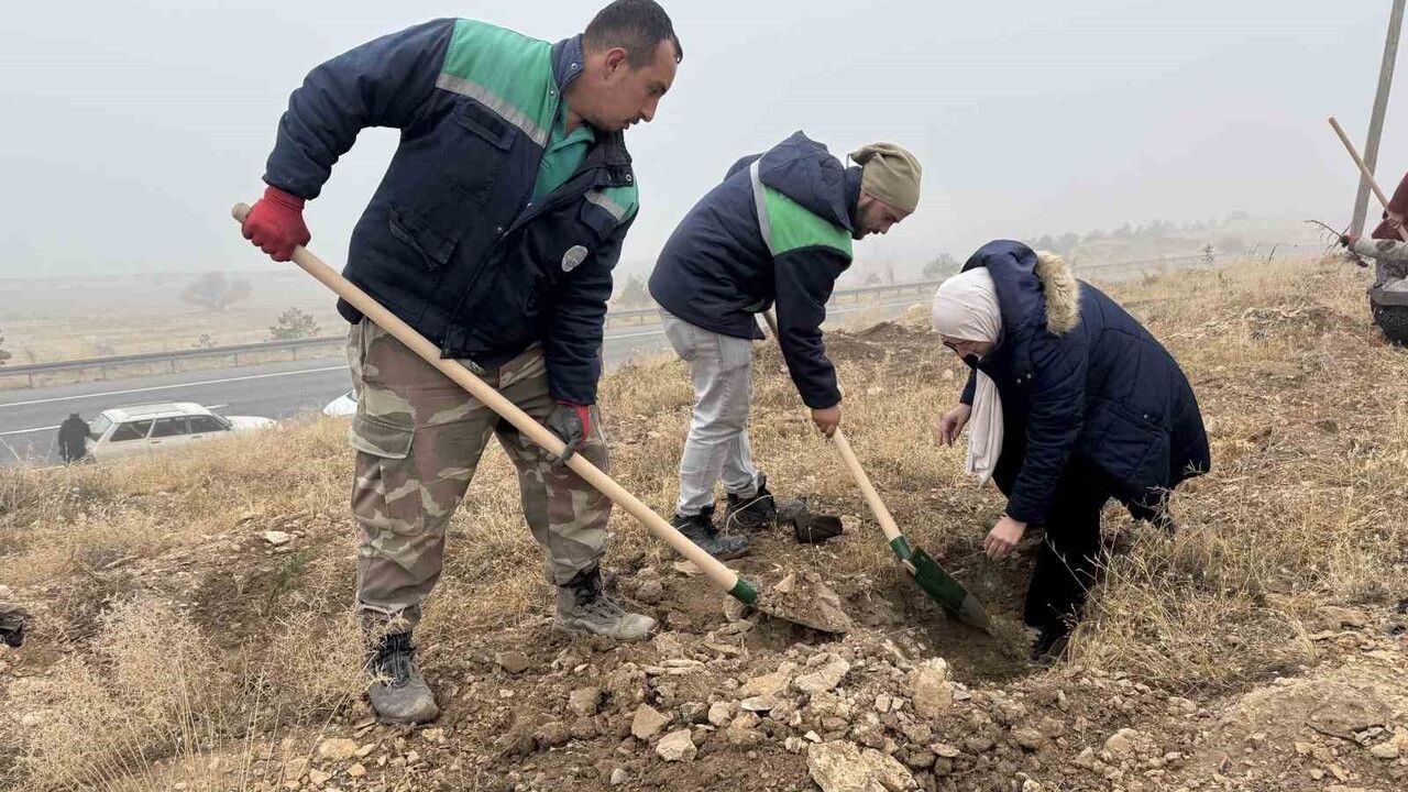 Yahyalı’da bin 200 fidan dikildi