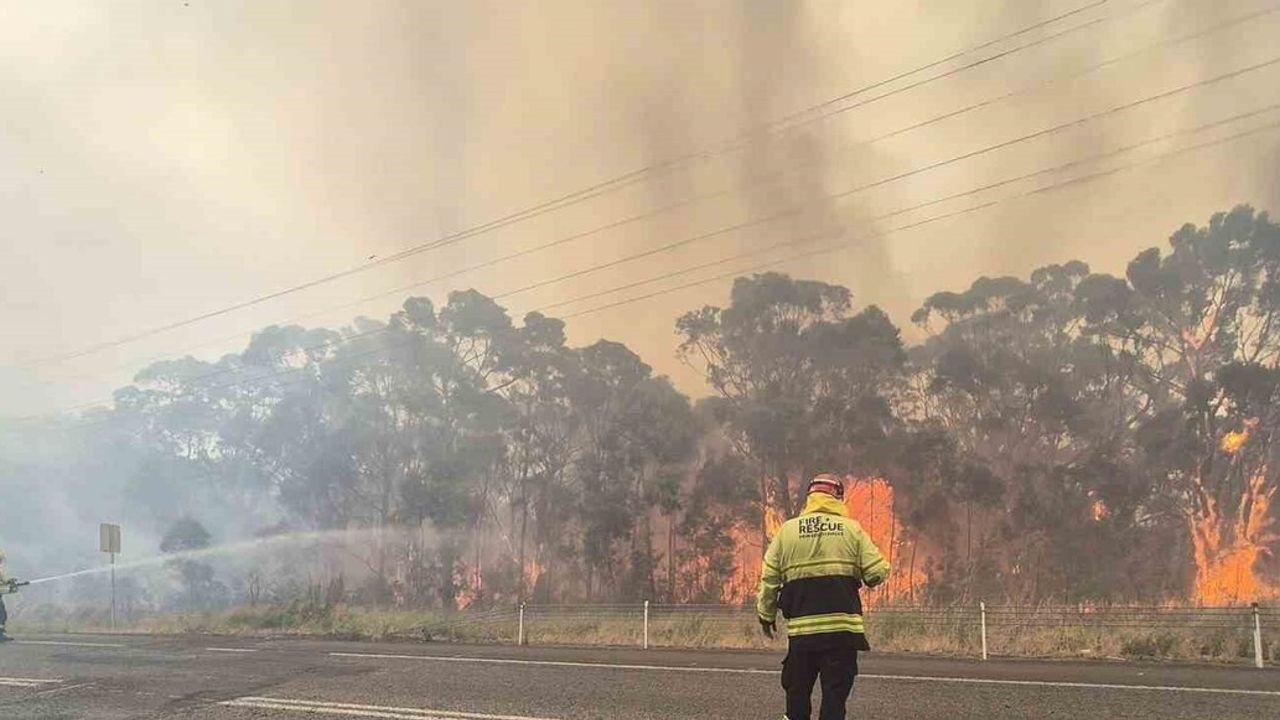 Yeni Güney Galler'de orman yangınları: itfaiye görevlisi yaşamını yitirdi