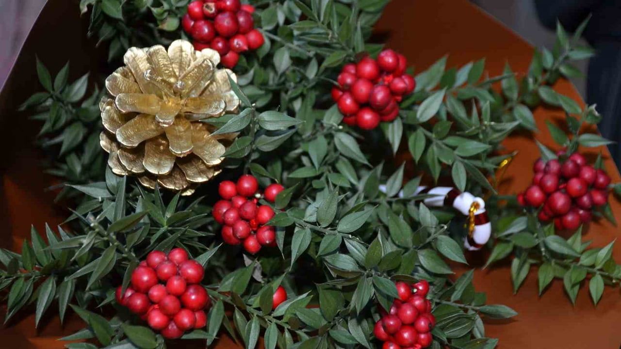 Yılbaşı Öncesi Bilecik'te Kokina Talebi Artıyor