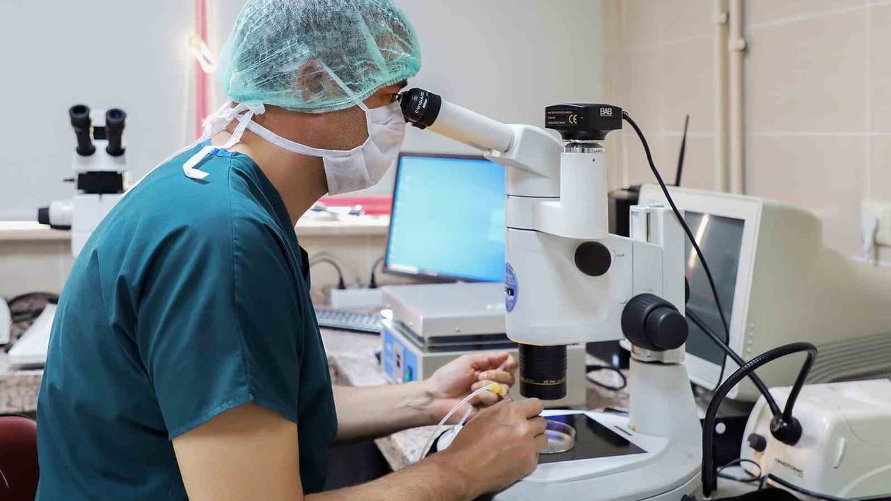 YÖK 2025 Raporu: Atatürk Üniversitesi birçok göstergede üst sıralarda