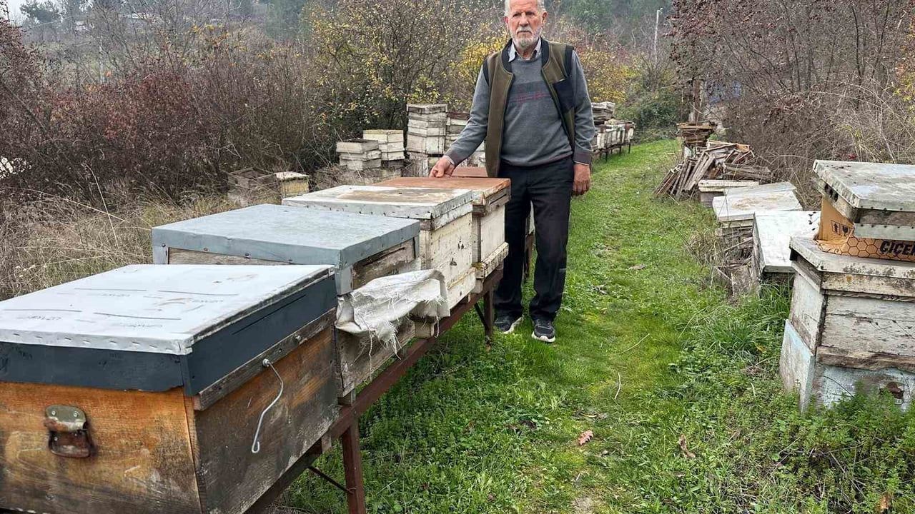 Zirai ilaçlar arıları yok etti: Bursalı arıcı büyük kayıp bildirdi