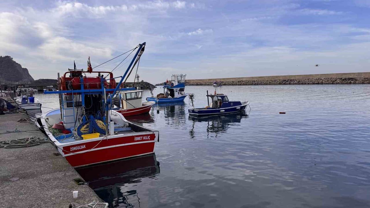 Zonguldak'ta hamsi bolluğu, palamut ve bazı türler yokluğu sürüyor