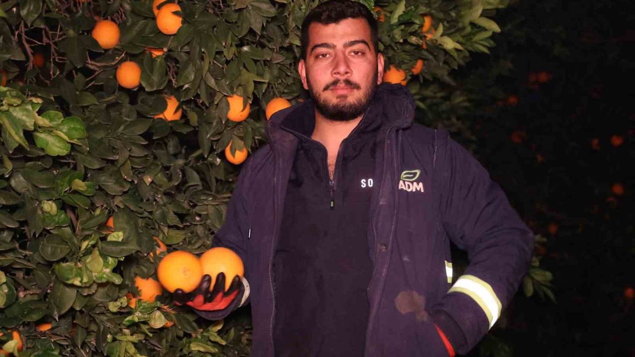 Adana'da bahçelerde zirai don nöbeti — Âşık Veli İmir sazıyla destek verdi