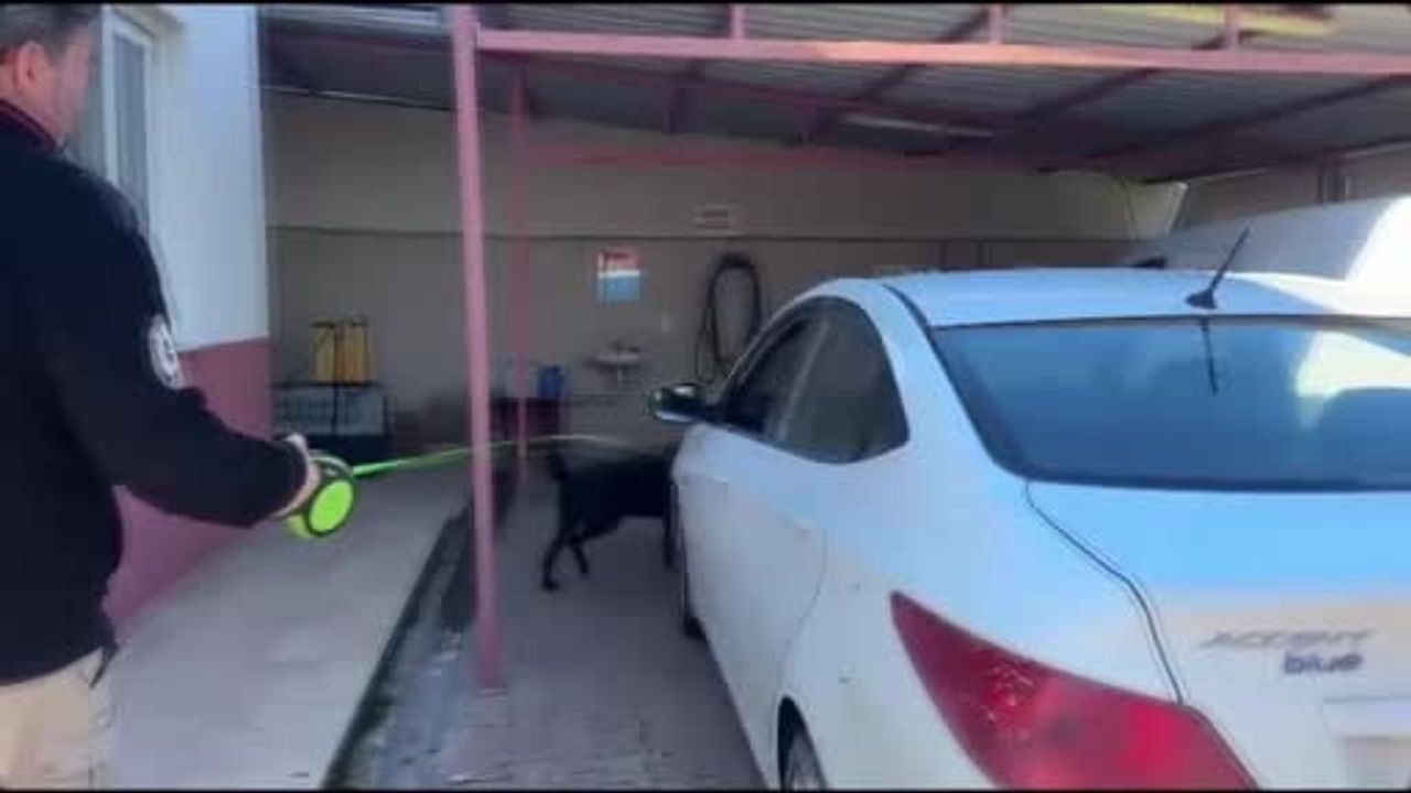 Adana'da kapılara gizlenen 66 bin 600 ecstasy yakalandı