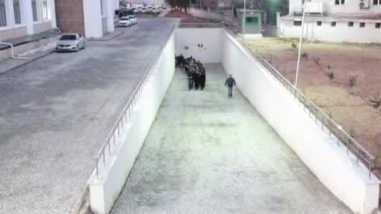 Adıyaman'da 21 şüpheliden 14'ü tutuklandı