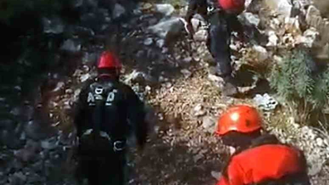 AFAD'tan Kıyra Mahallesi'nde keçi kurtarma operasyonu