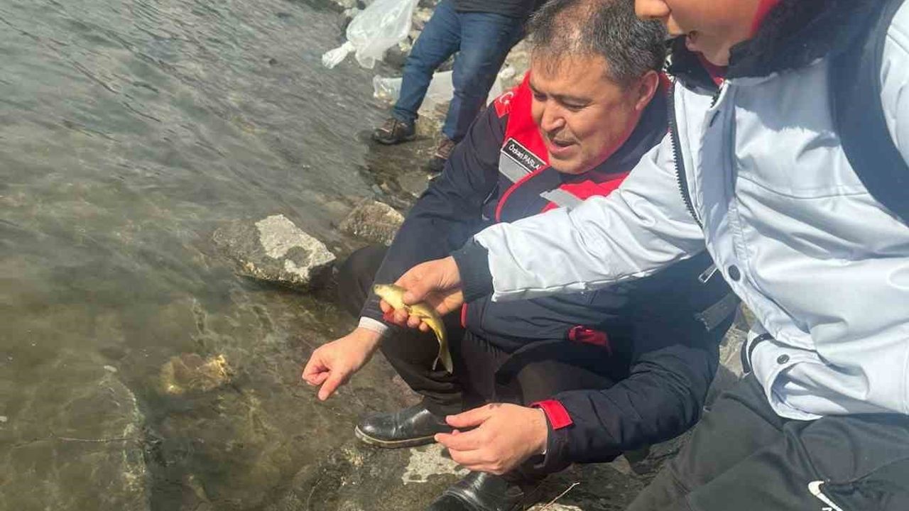 Afyonkarahisar'da 798 bin sazan yavrusu göl ve göletlere bırakıldı