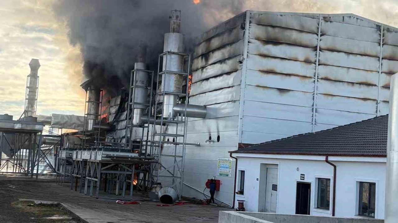 Afyonkarahisar'da Borbes elektrik üretim tesisinde yangın