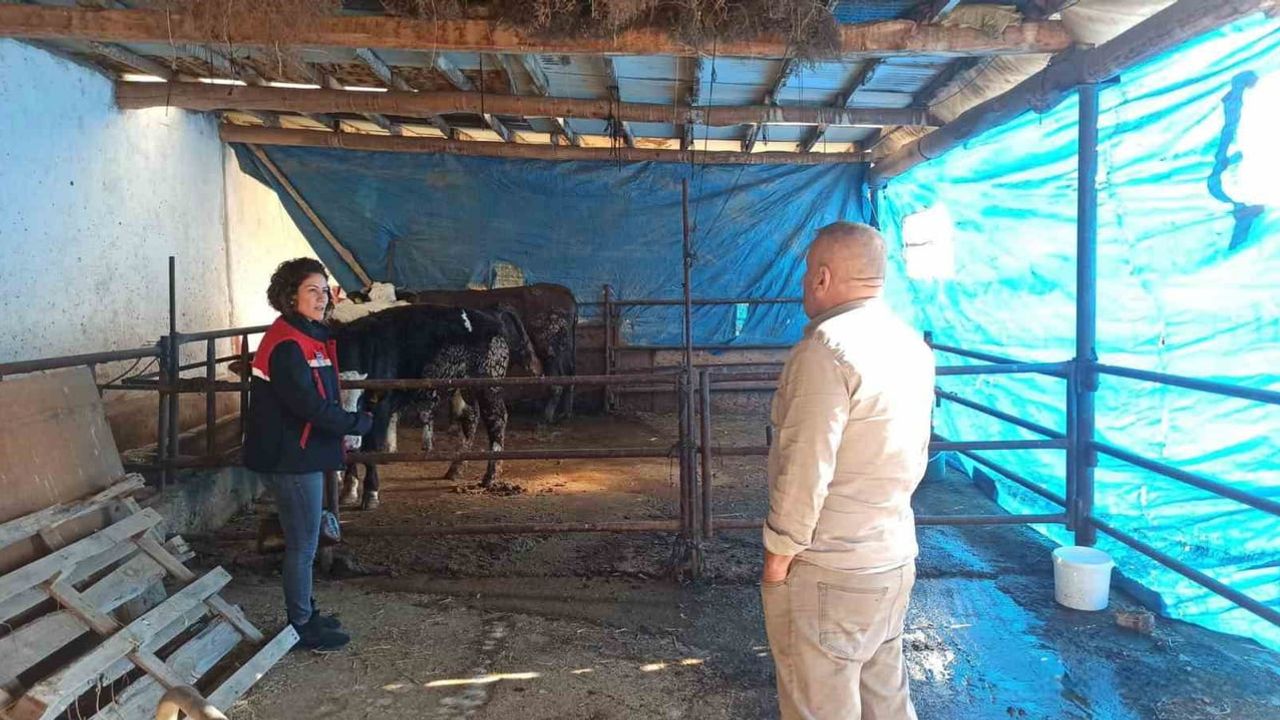 Afyonkarahisar'da ÇMVA çalışmaları devam ediyor