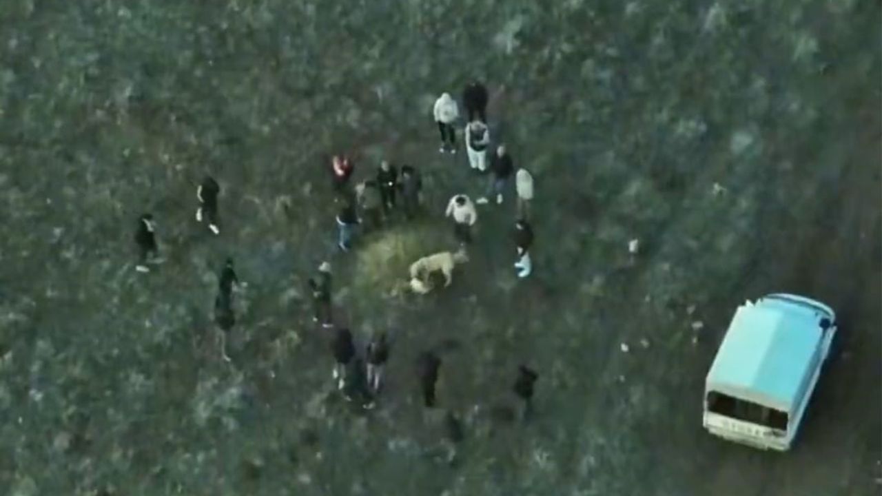 Afyonkarahisar'da jandarma dronla köpek dövüşüne baskın düzenledi