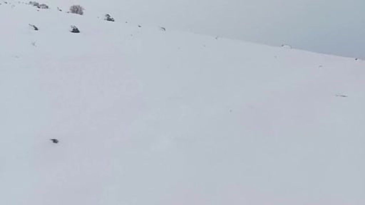 Afyonkarahisar’ın yüksek kesimlerinde kar yağışı etkili oldu